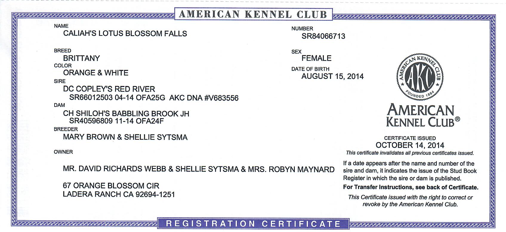 What is akc sales registered